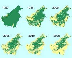 Deforestation in Borneo. | Deforestation, Borneo, Palm oil