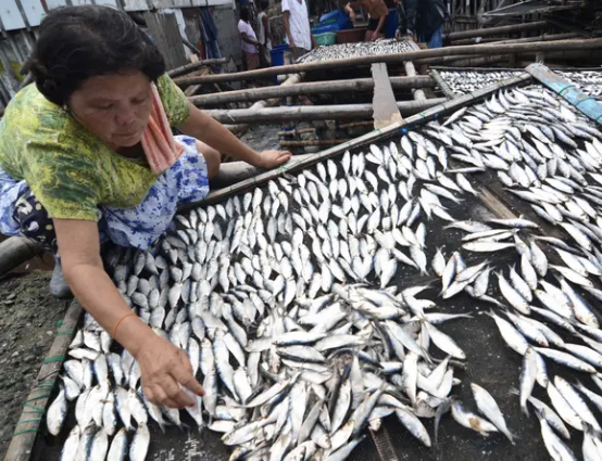 Overfishing