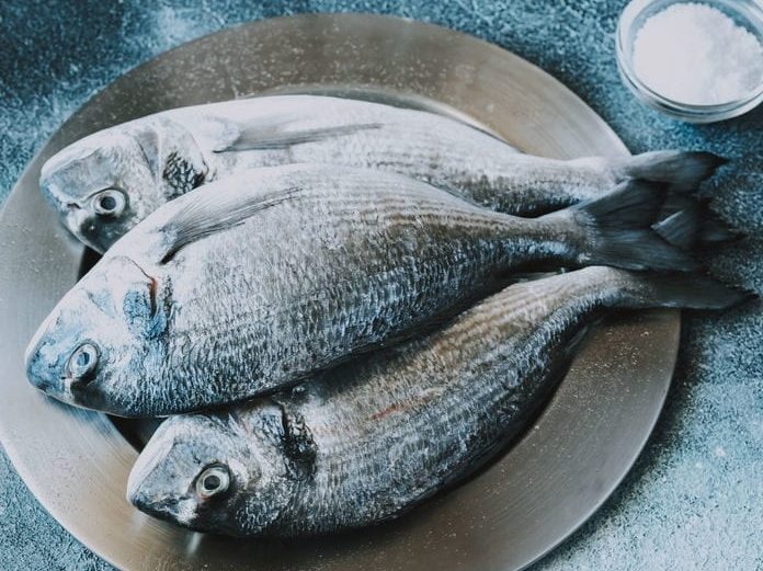 Sea-Bream-Dorada-Fish-1-696x546