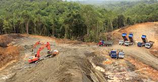 borneo