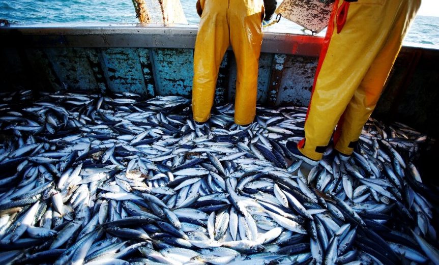overfishing