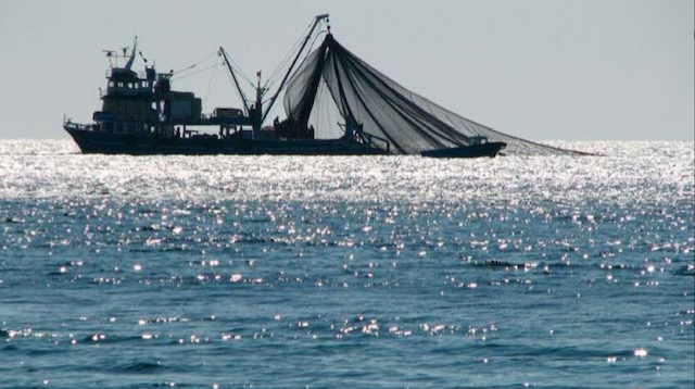 Overfishing