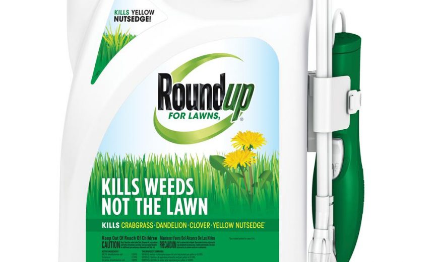 roundup-lawn-weed-killer-438501005-64_1000